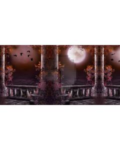 Pillar Moon Stone Flower Computer Printed Dance Recital Scenic Backdrop ACP-730