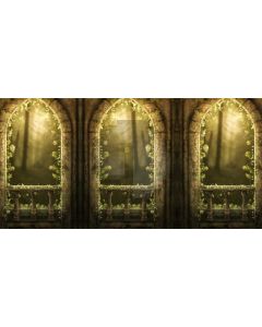 Arch Flower Light Pillar Computer Printed Dance Recital Scenic Backdrop ACP-738