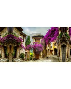 Flower House Road Stone Computer Printed Dance Recital Scenic Backdrop ACP-773