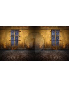 Wall Window Ground Computer Printed Dance Recital Scenic Backdrop ACP-782