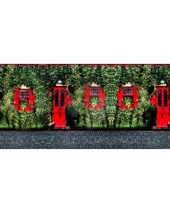 Door Plant Ground Computer Printed Dance Recital Scenic Backdrop ACP-790