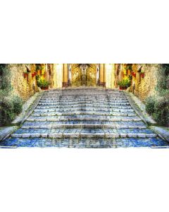 Brick Stairs Plant Door Computer Printed Dance Recital Scenic Backdrop ACP-811