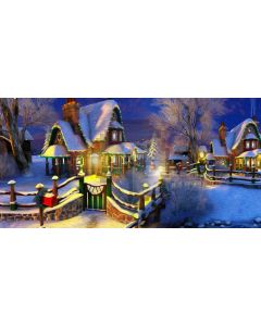 House Snow Tree Light Computer Printed Dance Recital Scenic Backdrop ACP-821