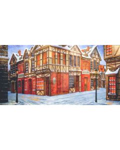 House Street Window Door Snow Computer Printed Dance Recital Scenic Backdrop ACP-835