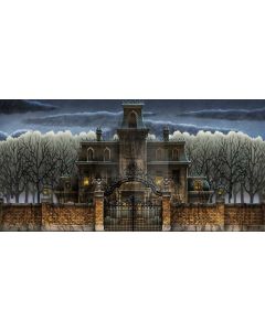 House Plant Door Brick Wall Computer Printed Dance Recital Scenic Backdrop ACP-840