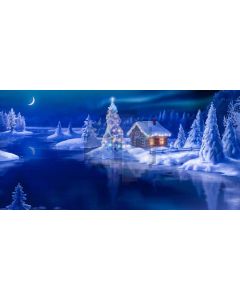House Tree Light Sea Moon Computer Printed Dance Recital Scenic Backdrop ACP-860