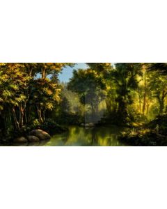 Tree Stone River Computer Printed Dance Recital Scenic Backdrop ACP-864