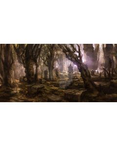 Tree Stone Light Computer Printed Dance Recital Scenic Backdrop ACP-874