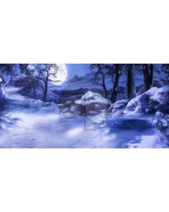 Moon Tree Stone Night Computer Printed Dance Recital Scenic Backdrop ACP-878