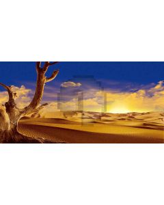 Scorched Desert Computer Printed Dance Recital Scenic Backdrop ACP-090
