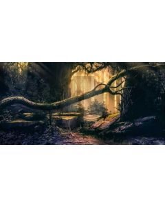 Tree Sunshine Grass Computer Printed Dance Recital Scenic Backdrop ACP-923