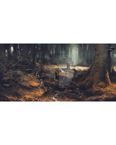 Tree Fog Computer Printed Dance Recital Scenic Backdrop ACP-937