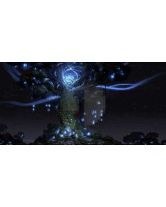 Plant Light Computer Printed Dance Recital Scenic Backdrop ACP-962