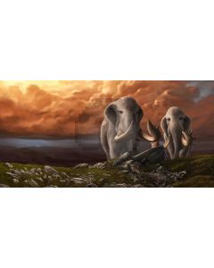 Elephant Grass Stone Cloud Computer Printed Dance Recital Scenic Backdrop ACP-979