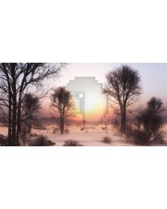 Tree Sunset Grass Computer Printed Dance Recital Scenic Backdrop ACP-988