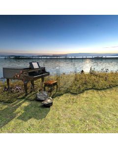 Grass Sea Piano Chair Bridge Computer Printed Photography Backdrop AUT-024