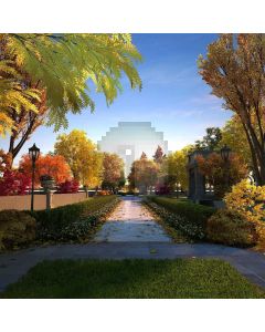 Tree Road Fallen Leaves Thick Growth Of Grass Computer Printed Photography Backdrop AUT-027