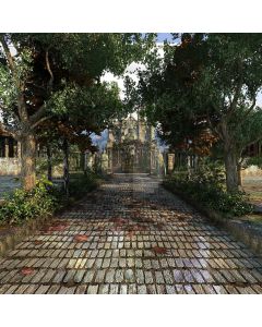 Road Fallen Leaves Tree Arch Computer Printed Photography Backdrop AUT-031