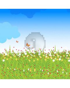 Grass Flower Cloud Butterfly Computer Printed Photography Backdrop AUT-095