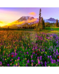 Flower Mountain Sunset Computer Printed Photography Backdrop AUT-125