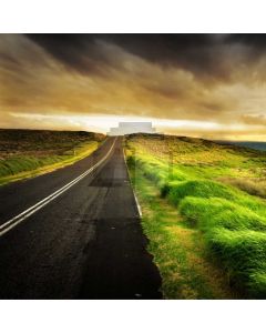 Road Grass Sky Computer Printed Photography Backdrop AUT-131