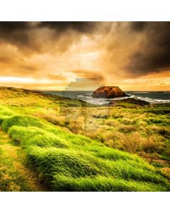 Cloud Grass Water Computer Printed Photography Backdrop AUT-132