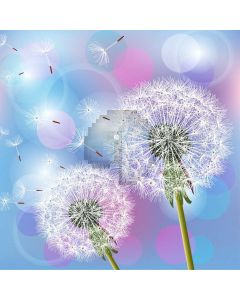 Flower Balloon Computer Printed Photography Backdrop AUT-137
