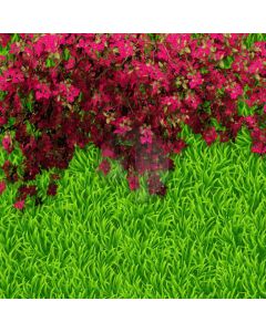 Flower Grass Computer Printed Photography Backdrop AUT-161