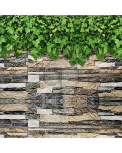 Leaves Wall Stone Computer Printed Photography Backdrop AUT-162