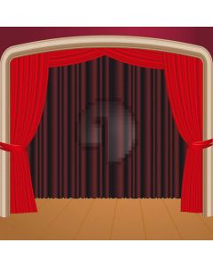 Curtain Floor Computer Printed Photography Backdrop AUT-208