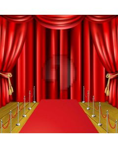 Curtain Pillar Carpet Computer Printed Photography Backdrop AUT-209