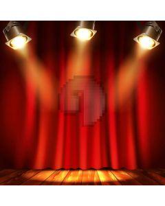 Light Curtain Floor Computer Printed Photography Backdrop AUT-223