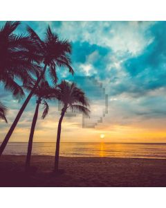 Tree Sea Sky Computer Printed Photography Backdrop AUT-246