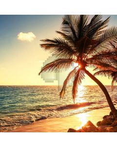 Sea Cloud Tree Computer Printed Photography Backdrop AUT-258