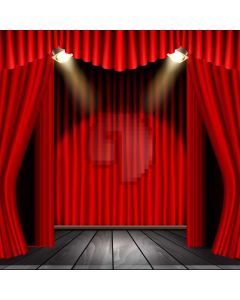 Curtain Light Floor Computer Printed Photography Backdrop AUT-267