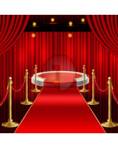 Carpet Pillar Curtain Computer Printed Photography Backdrop AUT-268