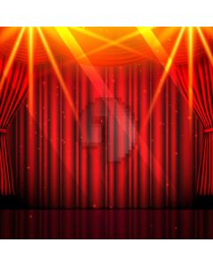Curtain Light Computer Printed Photography Backdrop AUT-282