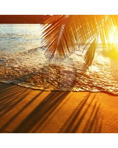 Sea Tree Beach Computer Printed Photography Backdrop AUT-317
