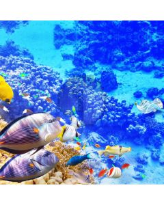 Underworld Fish Computer Printed Photography Backdrop AUT-322