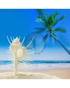 Sea Tree Sky Computer Printed Photography Backdrop AUT-327
