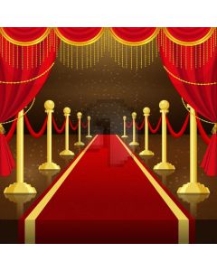 Pillar Curtain Light Computer Printed Photography Backdrop AUT-345