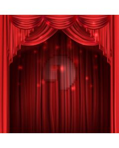 Curtain Light Computer Printed Photography Backdrop AUT-362