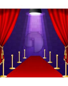 Light Carpet Computer Printed Photography Backdrop AUT-413