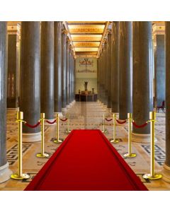 Carpet Pillar Computer Printed Photography Backdrop AUT-417
