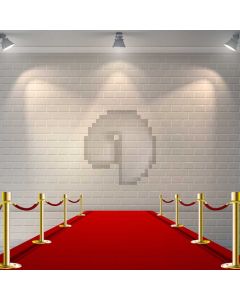 Pillar Carpet Computer Printed Photography Backdrop AUT-432
