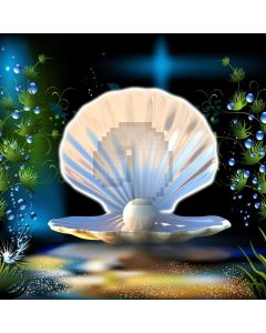 Shell Grass Computer Printed Photography Backdrop AUT-461