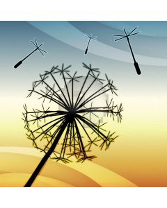 Light Dandelion Computer Printed Photography Backdrop AUT-465