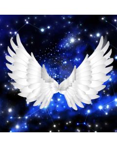 Bird Lights Computer Printed Photography Backdrop AUT-500