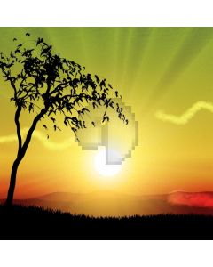 Sun Tree Computer Printed Photography Backdrop AUT-509