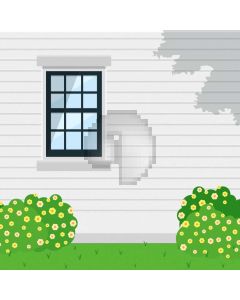 Grass Window Computer Printed Photography Backdrop AUT-521